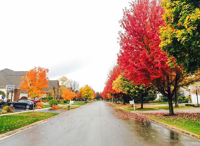 Eagle Brook Subdivision - @kpacilio